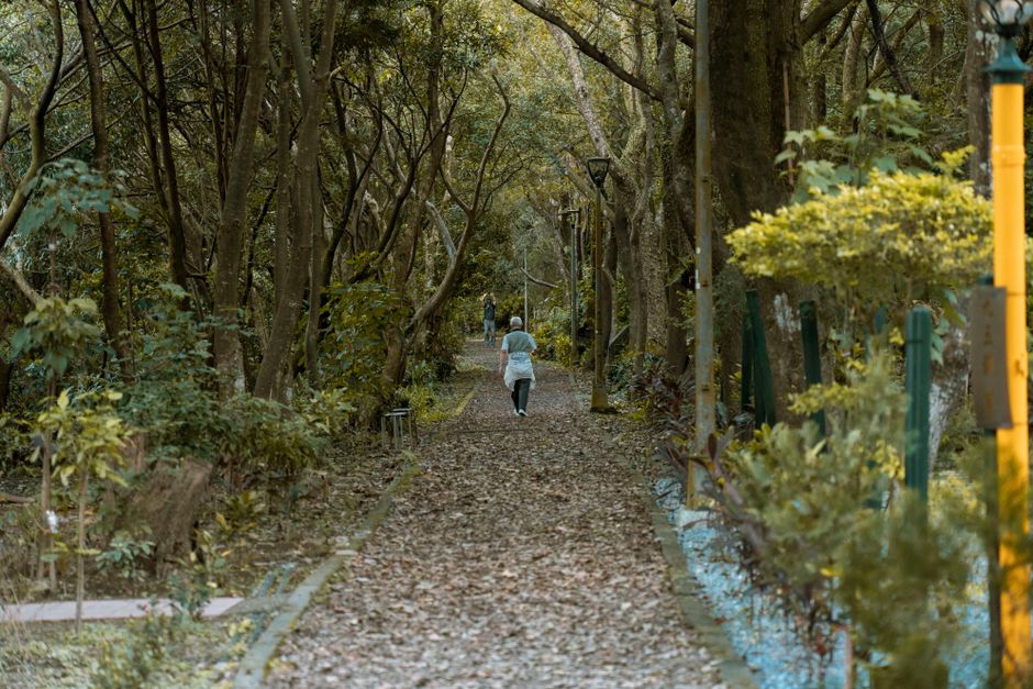 A Balanced Approach To Wellness: Myths and Facts