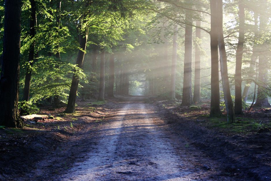A Step-by-Step Look at The Importance Of Personal Well-Being