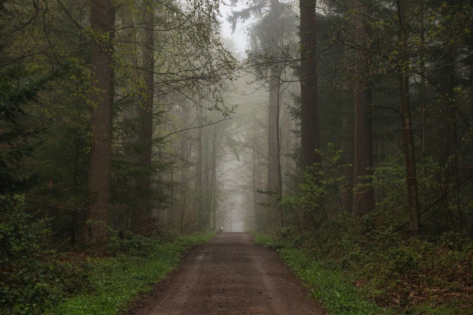 Understanding Health And Wellness: Where to Start